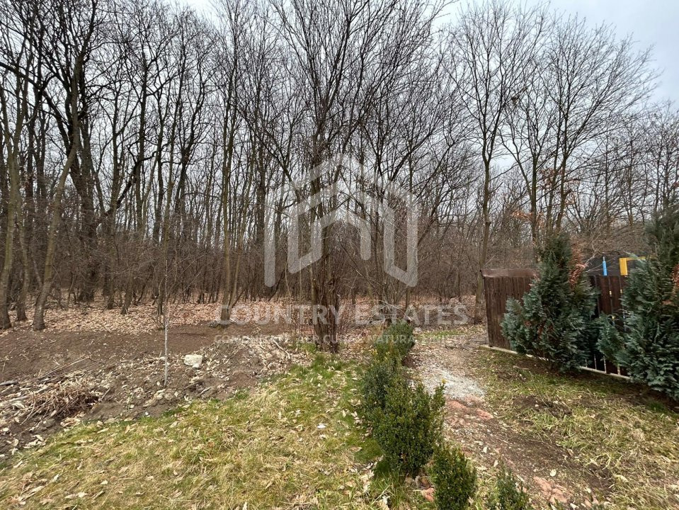 Vila duplex de inchiriat, mobilata, strada privata cu bariera, Padurea Tamasi