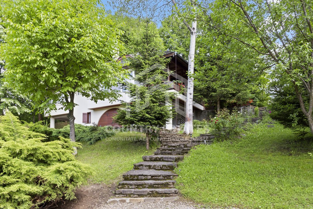Villa Elisabeta, mountain domain, fairytale area, Cerasu, Prahova county