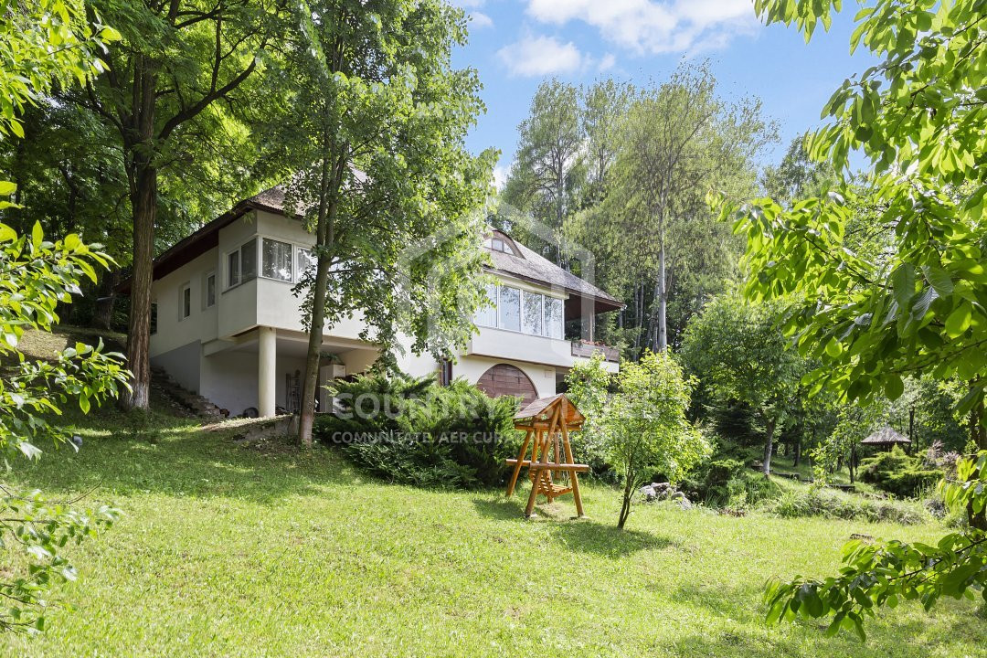 Villa Elisabeta, mountain domain, fairytale area, Cerasu, Prahova county