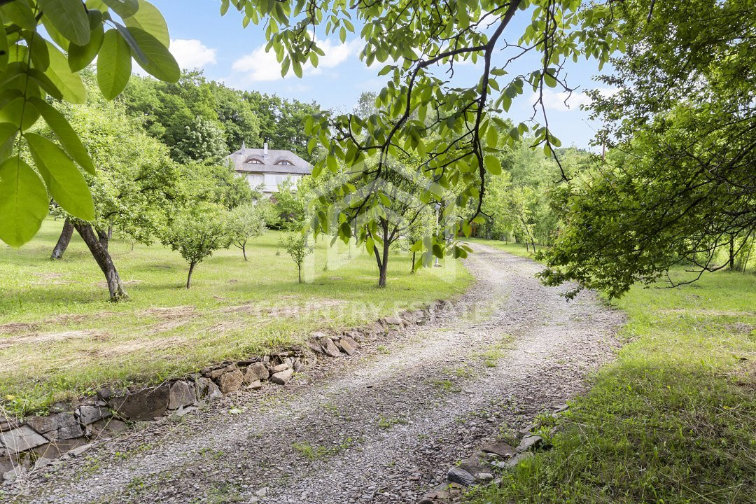 Villa Elisabeta, mountain domain, fairytale area, Cerasu, Prahova county