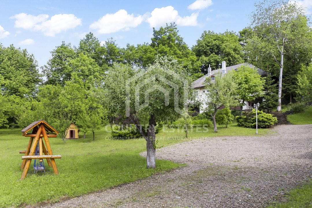 Villa Elisabeta, mountain domain, fairytale area, Cerasu, Prahova county