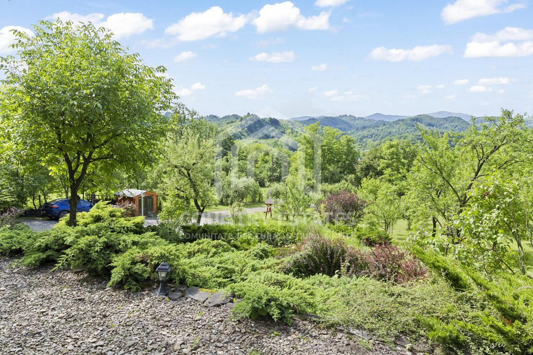 Villa Elisabeta, mountain domain, fairytale area, Cerasu, Prahova county