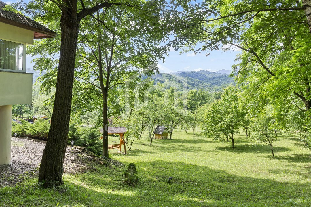 Villa Elisabeta, mountain domain, fairytale area, Cerasu, Prahova county