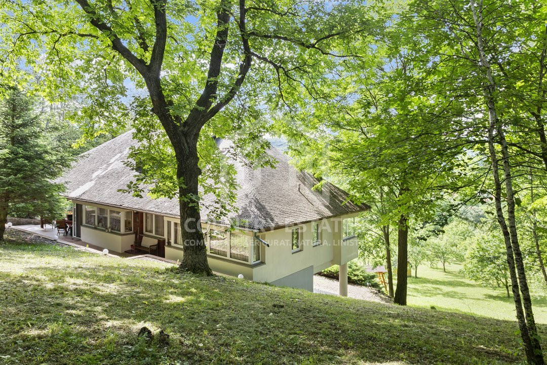 Villa Elisabeta, mountain domain, fairytale area, Cerasu, Prahova county