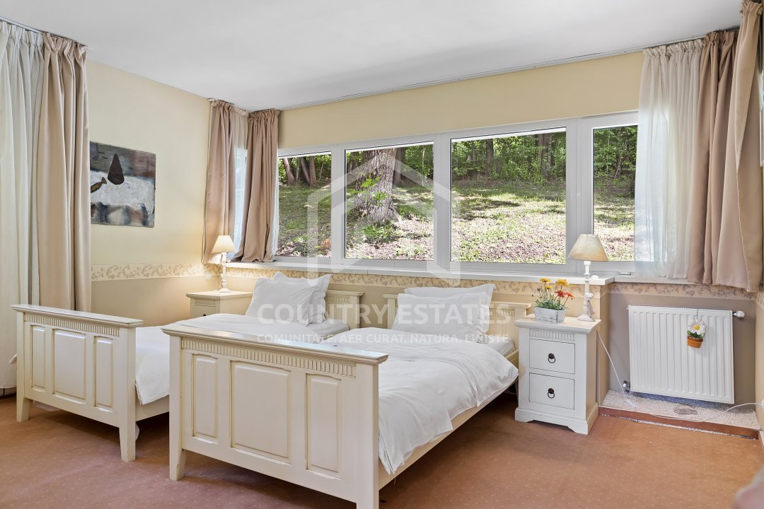 Villa Elisabeta, mountain domain, fairytale area, Cerasu, Prahova county