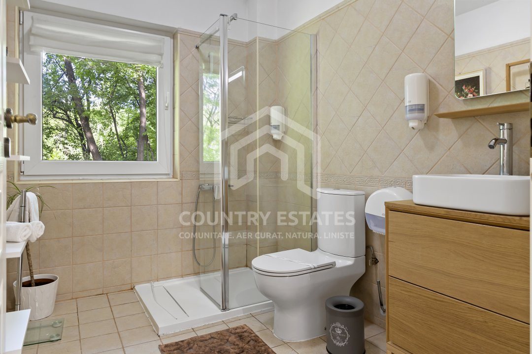 Villa Elisabeta, mountain domain, fairytale area, Cerasu, Prahova county