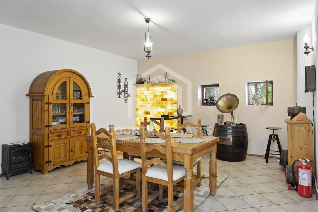 Villa Elisabeta, mountain domain, fairytale area, Cerasu, Prahova county