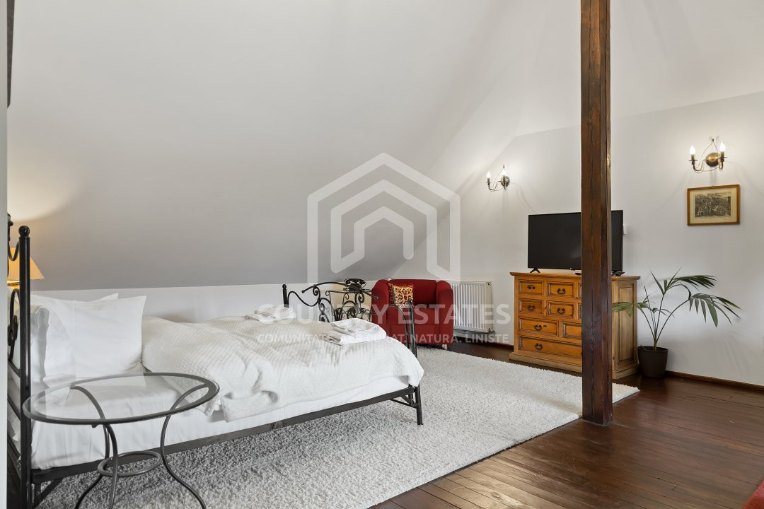 Villa Elisabeta, mountain domain, fairytale area, Cerasu, Prahova county