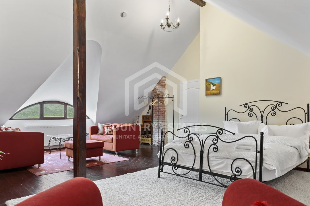 Villa Elisabeta, mountain domain, fairytale area, Cerasu, Prahova county