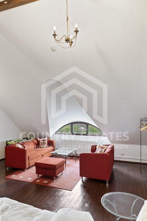 Villa Elisabeta, mountain domain, fairytale area, Cerasu, Prahova county