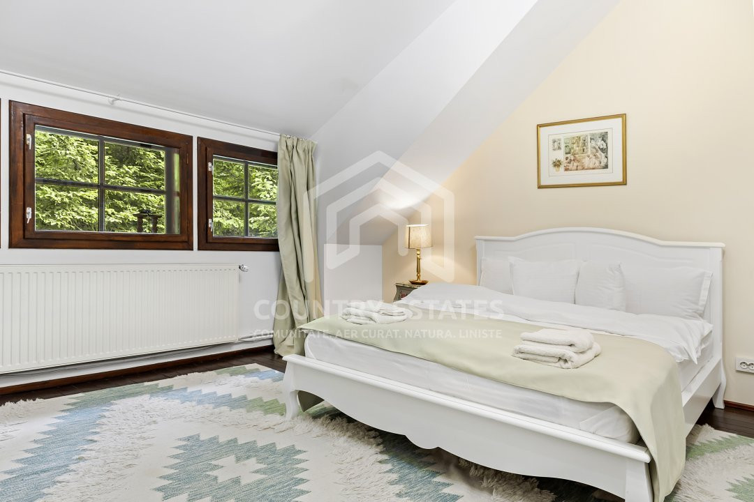 Villa Elisabeta, mountain domain, fairytale area, Cerasu, Prahova county