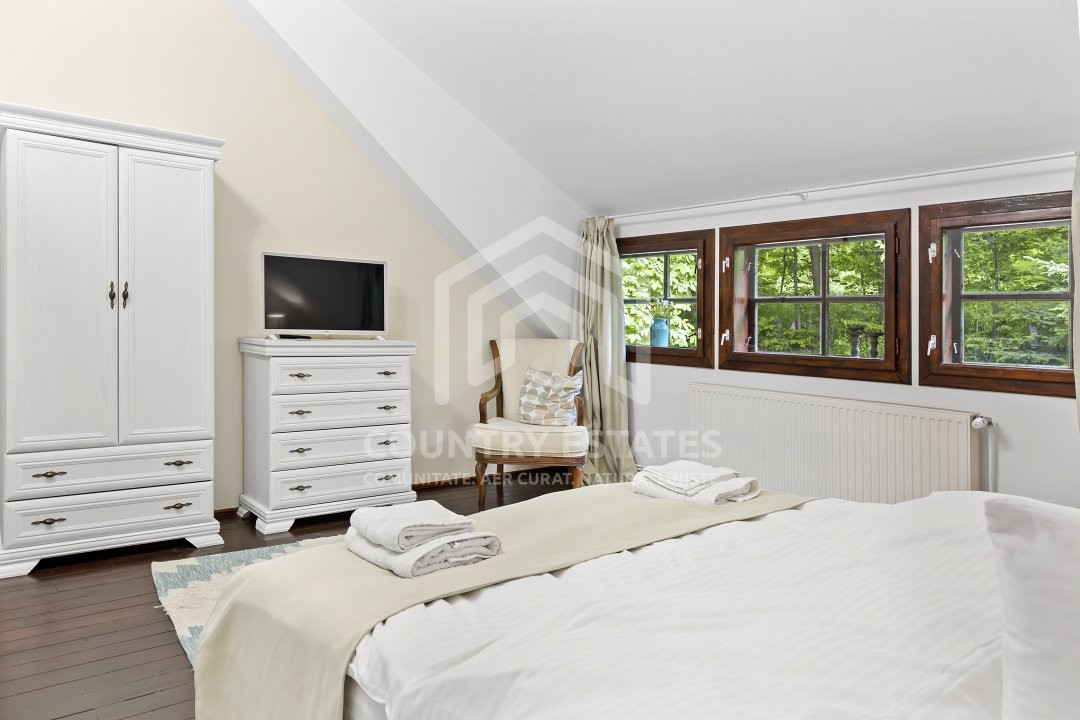 Villa Elisabeta, mountain domain, fairytale area, Cerasu, Prahova county