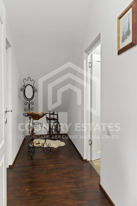 Villa Elisabeta, mountain domain, fairytale area, Cerasu, Prahova county