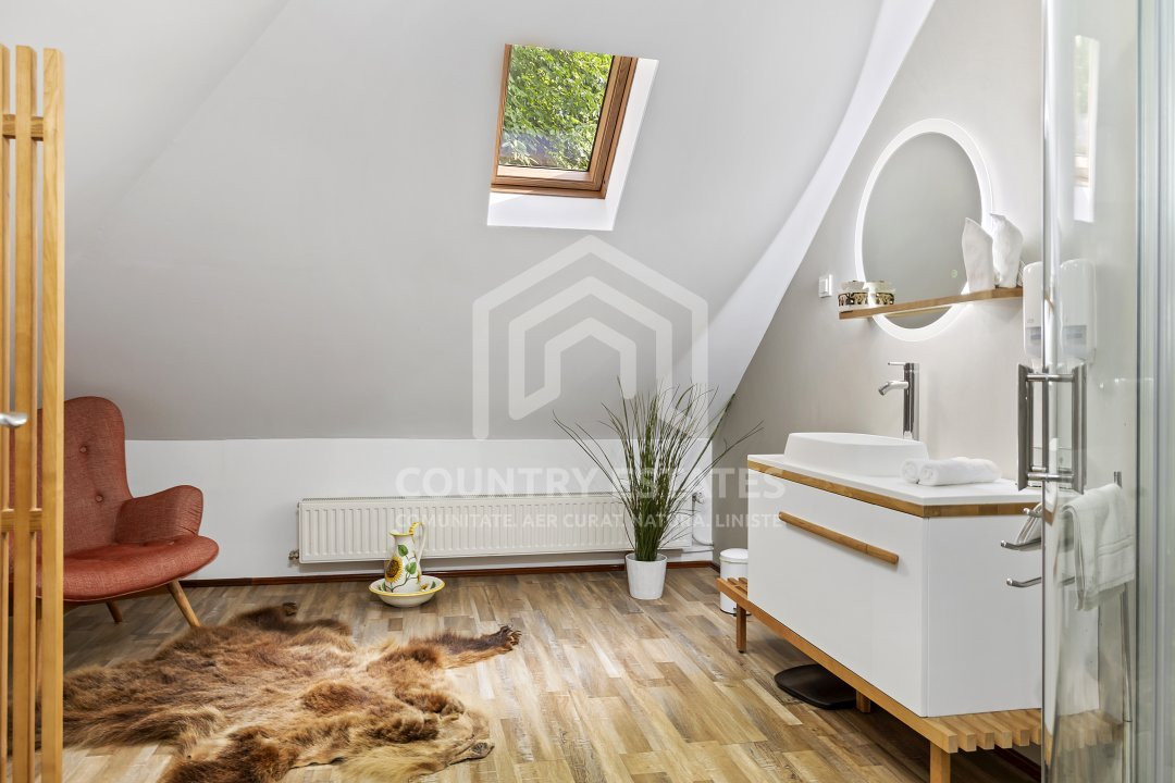 Villa Elisabeta, mountain domain, fairytale area, Cerasu, Prahova county