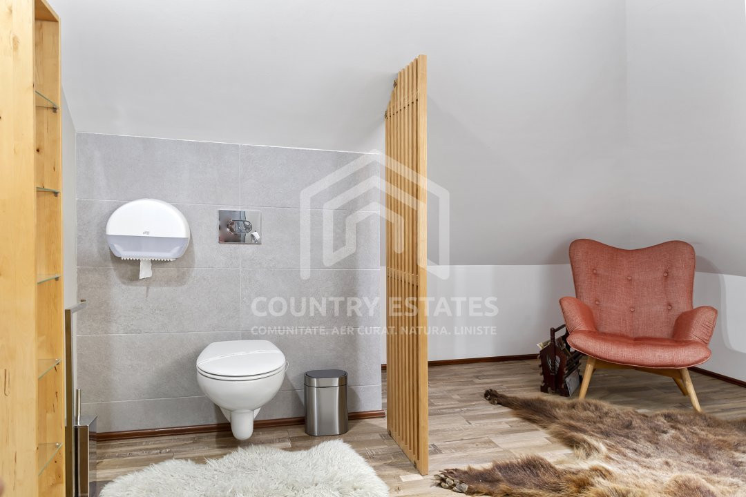 Villa Elisabeta, mountain domain, fairytale area, Cerasu, Prahova county