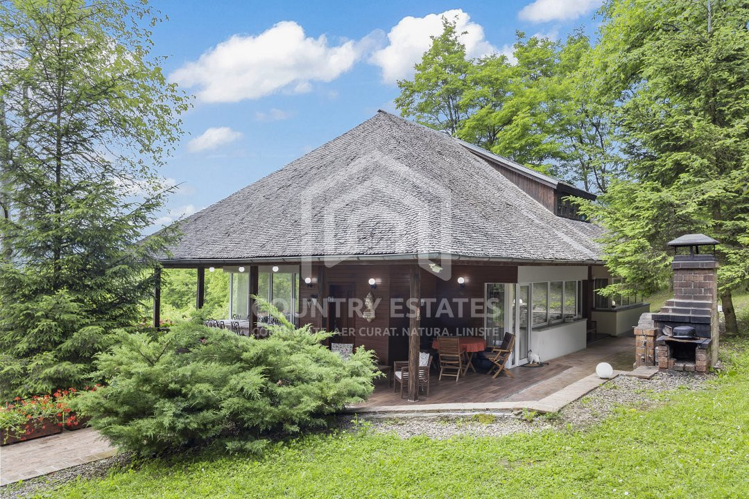 Villa Elisabeta, mountain domain, fairytale area, Cerasu, Prahova county